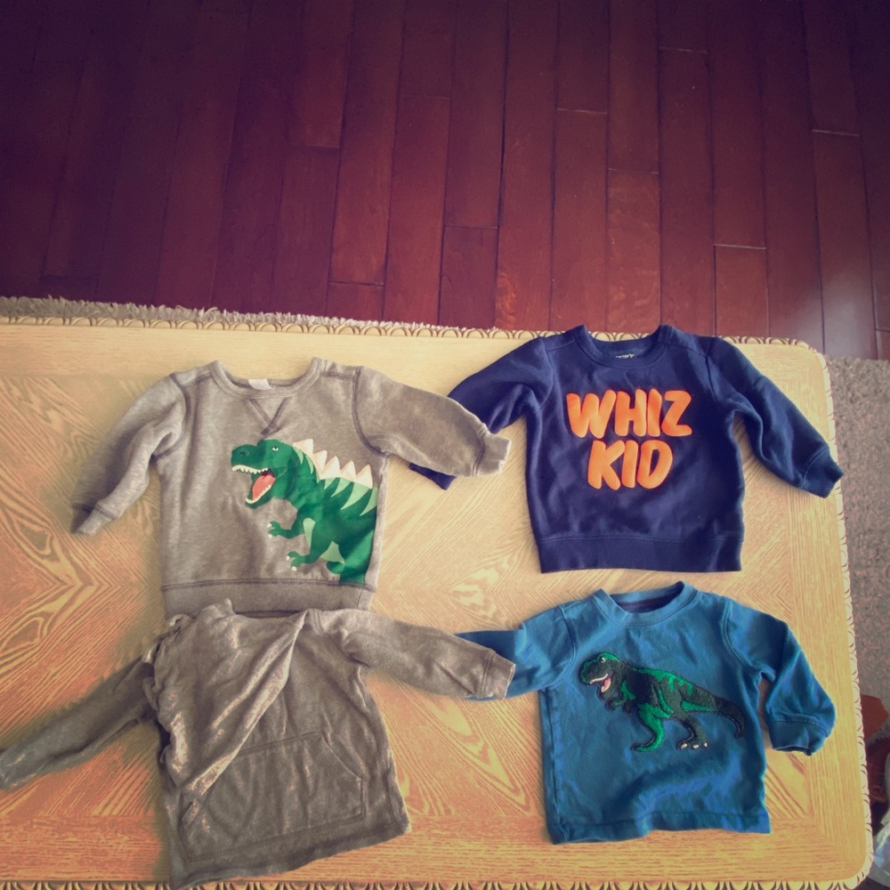 Carter’s sweatshirt lot 12months